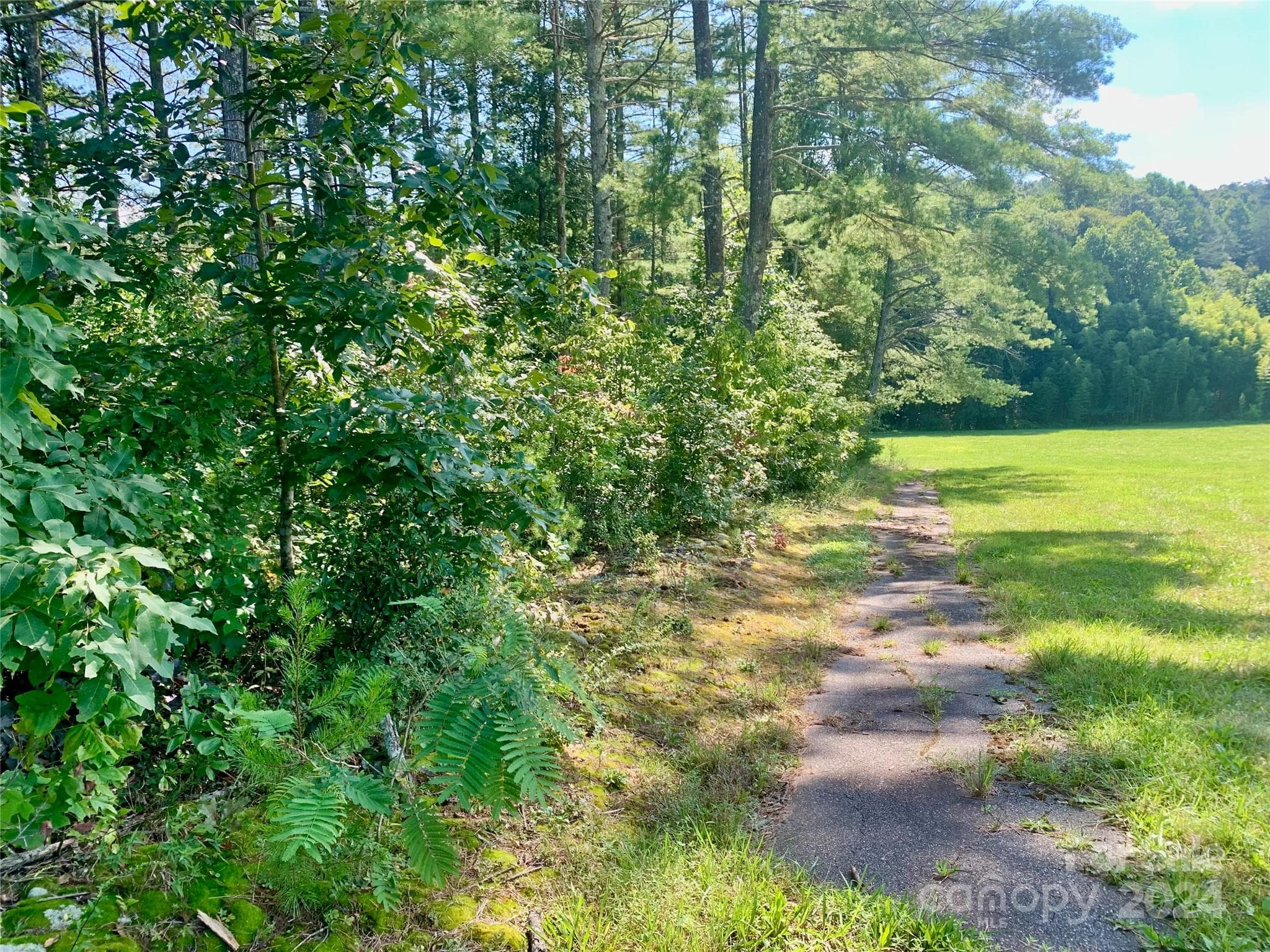 Lot at Lenoir, photo 12 of 48