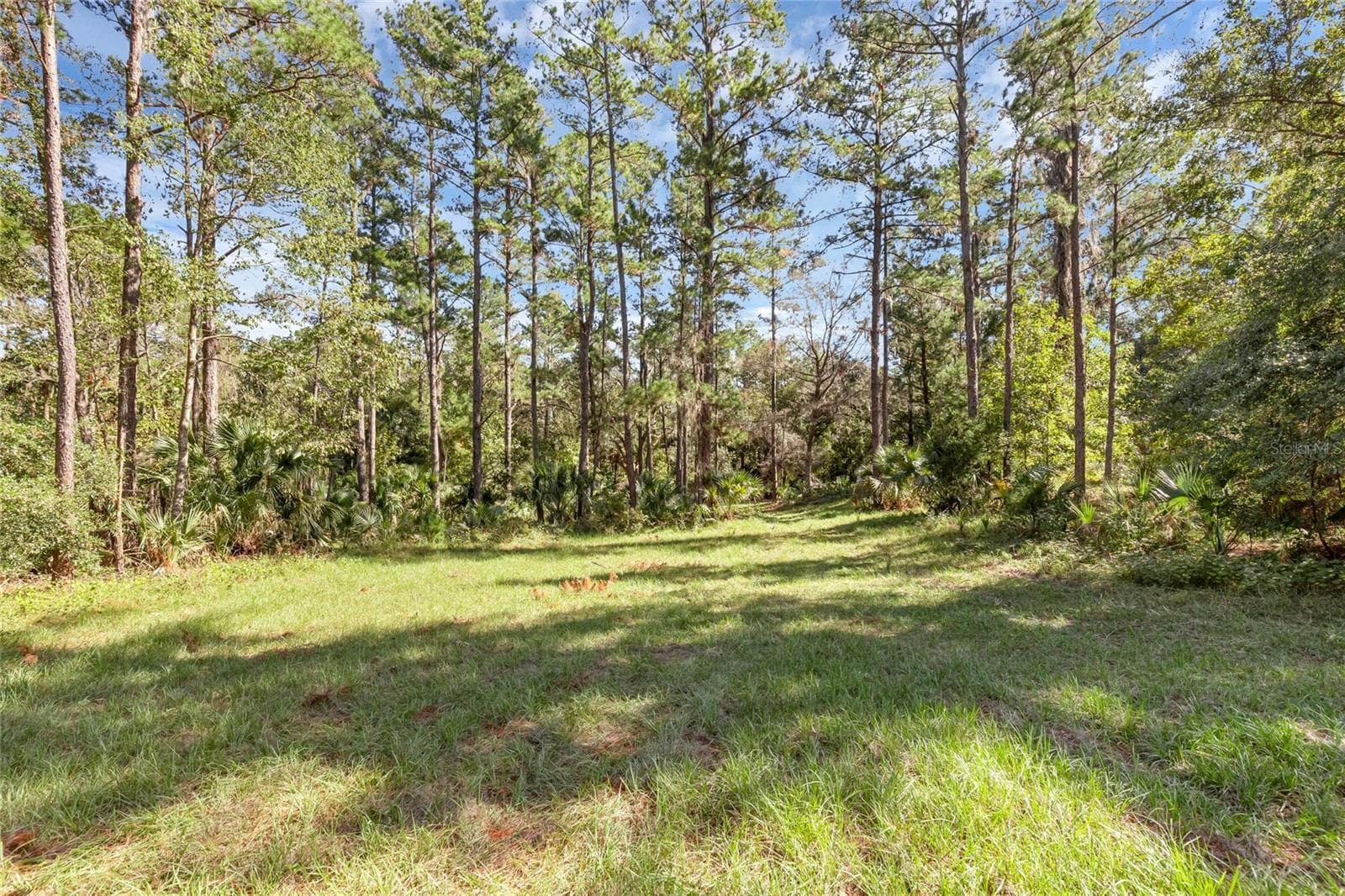 Land at BRONSON RD, SORRENTO, photo 5 of 29