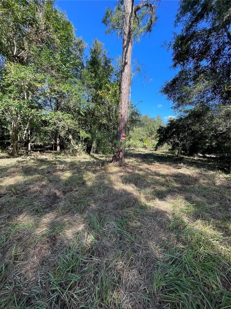 Land at 2330 E UNIVERSITY AVE, GAINESVILLE, photo 17 of 31