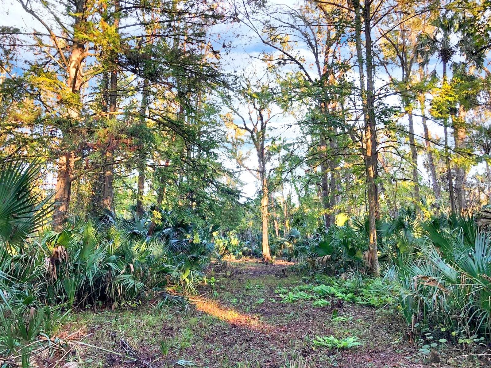Land at BRONSON RD, SORRENTO, photo 14 of 29