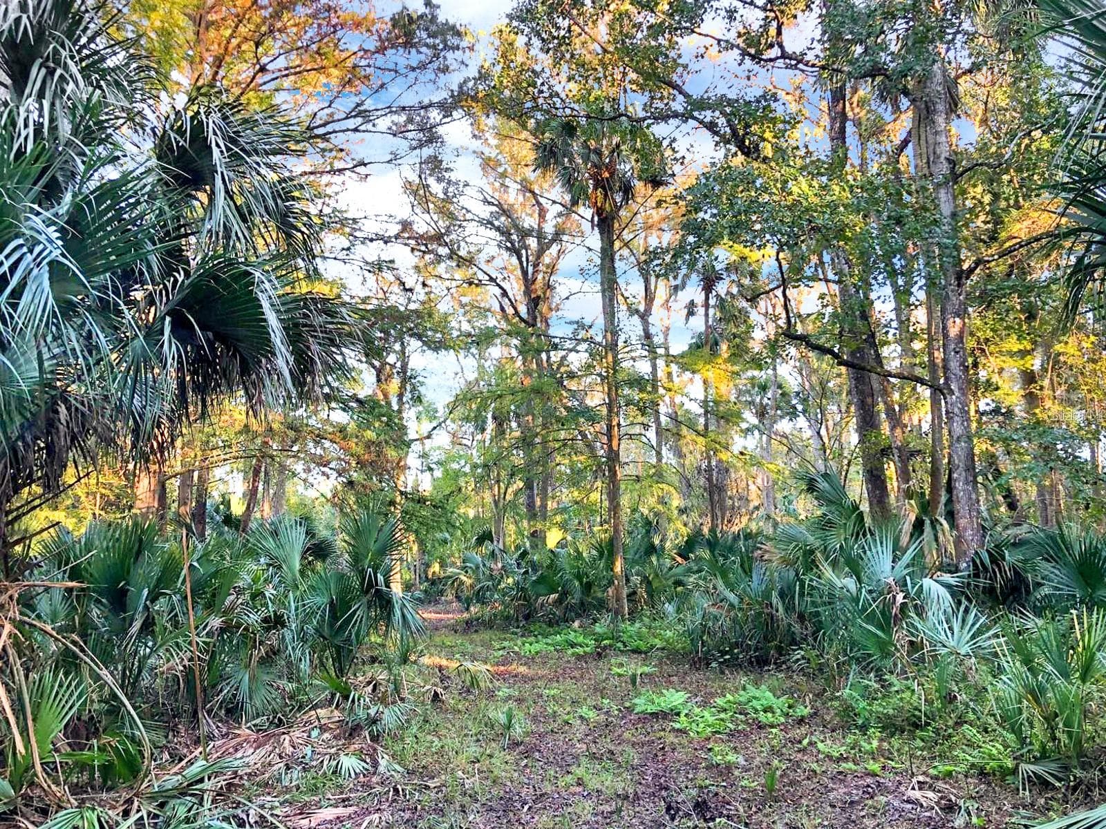 Land at BRONSON RD, SORRENTO, photo 13 of 29