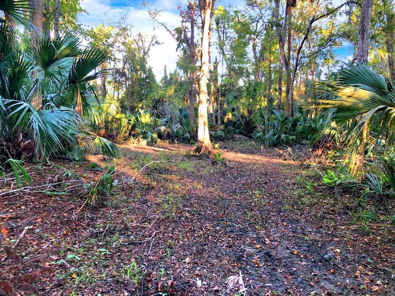 Land at BRONSON RD, SORRENTO, photo 11 of 29