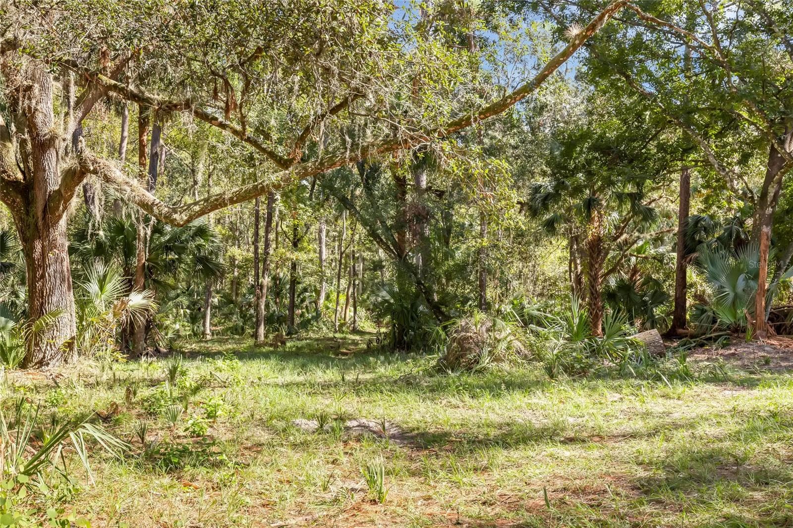 Land at BRONSON RD, SORRENTO, photo 12 of 29