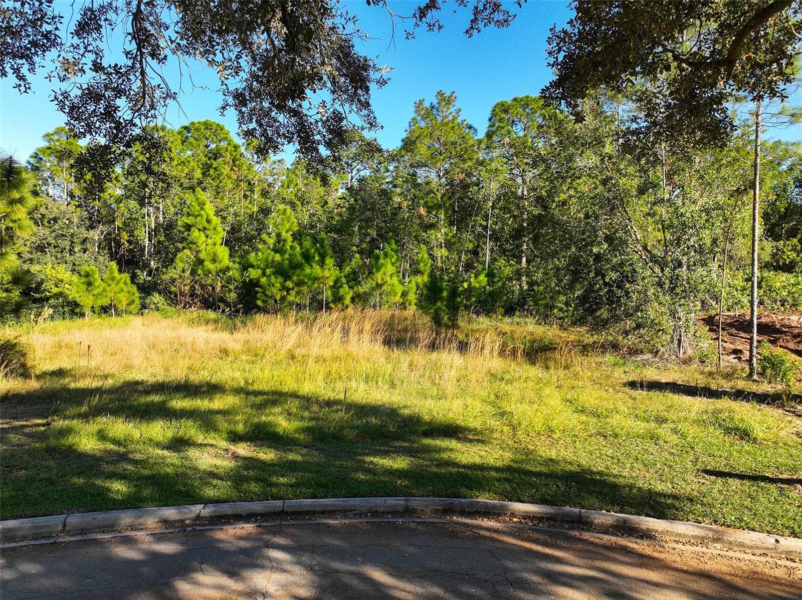 Land at 7161 OAK GLEN TRL, ST CLOUD, photo 2 of 17