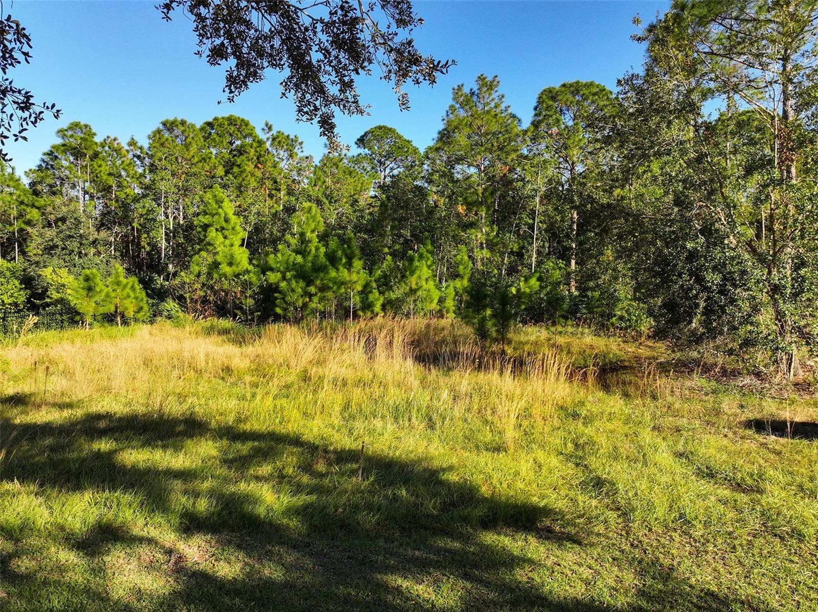 Land at 7161 OAK GLEN TRL, ST CLOUD, photo 3 of 17