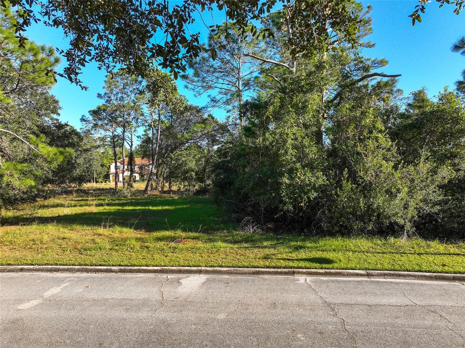 Land at 7180 OAK GLEN TRL, ST CLOUD, photo 2 of 22