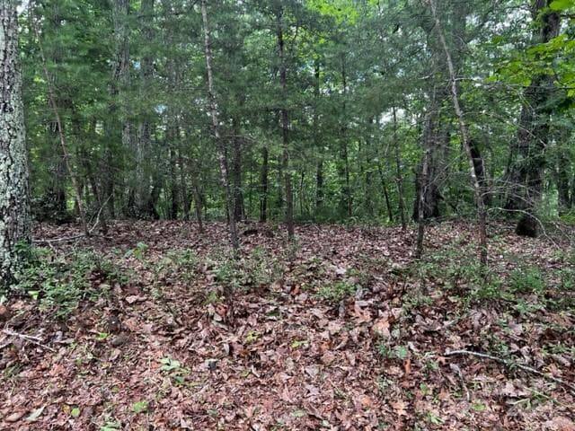 Acreage at 46 N Park Lane, Mill Spring, photo 4 of 7