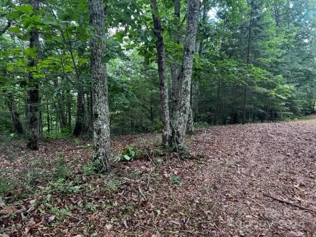 Acreage at 46 N Park Lane, Mill Spring, photo 5 of 7