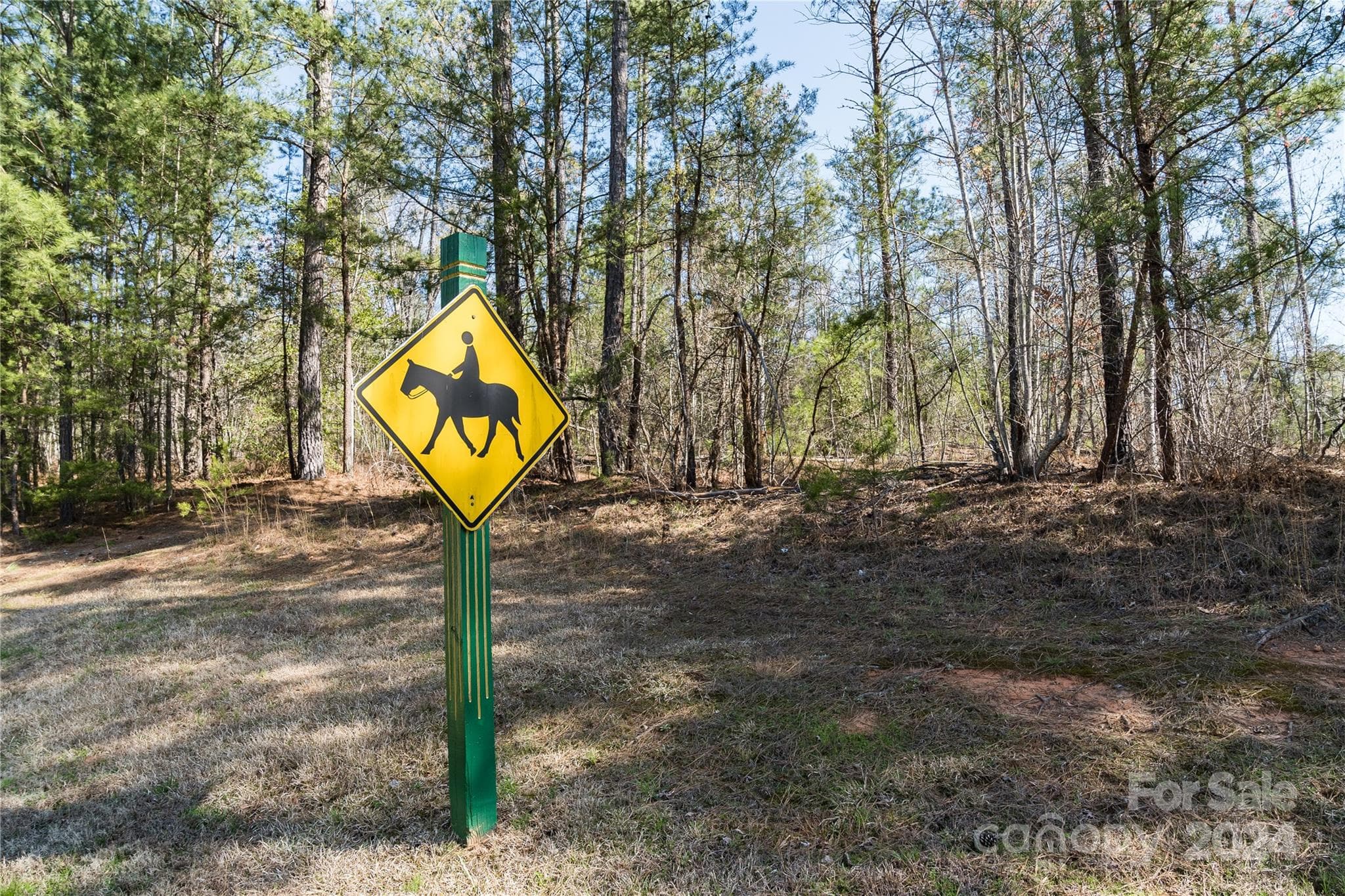 Acreage at 46 N Park Lane, Mill Spring, photo 6 of 7