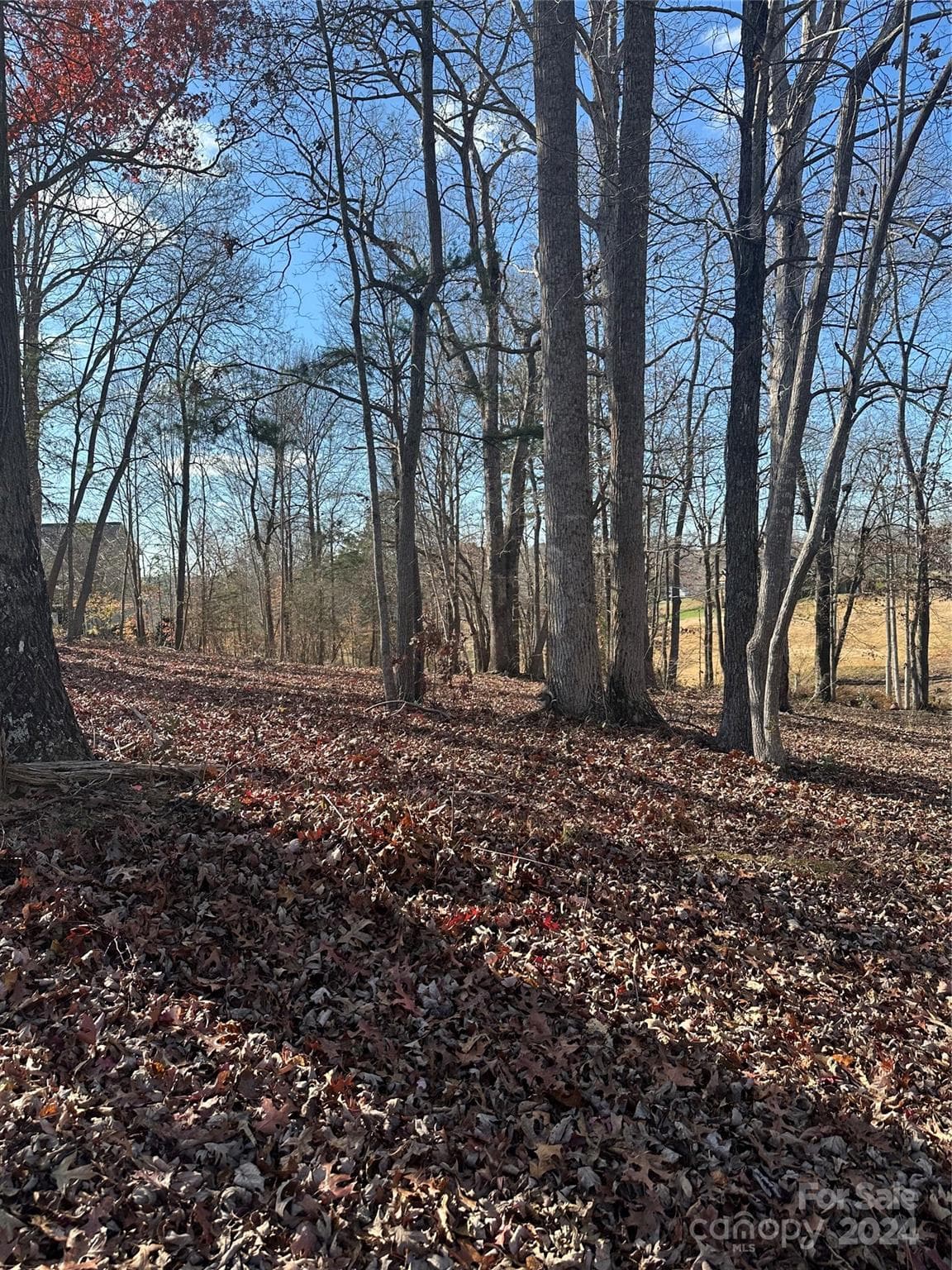 Lot at 3712 Blankenship Drive, Morganton, photo 2 of 6