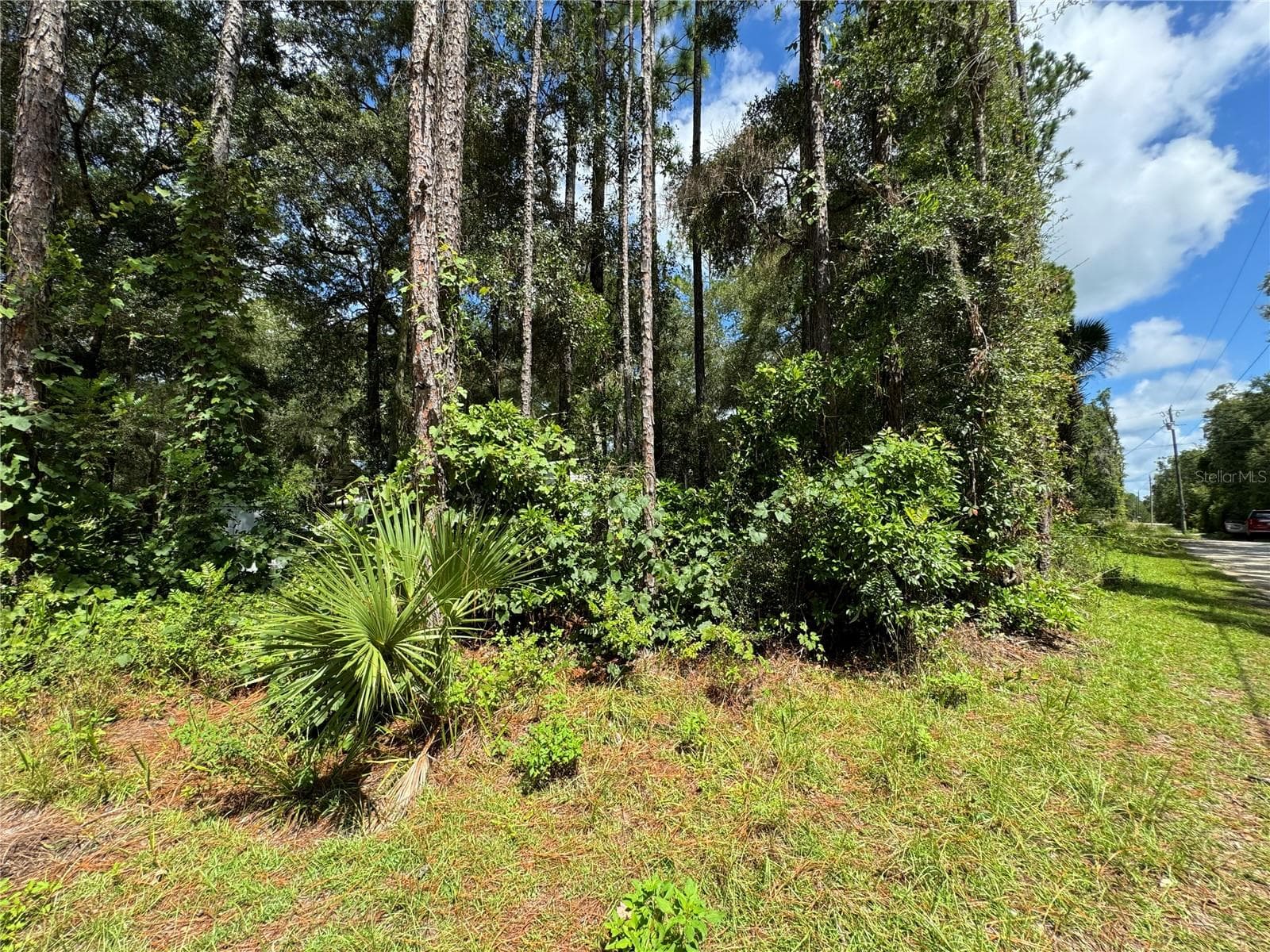 View from NW 97th Ct. corner looking north, This is the lot that runs from NW 58th Place to NW 59th St 200' wide road to road - NW 58TH PL, CHIEFLAND