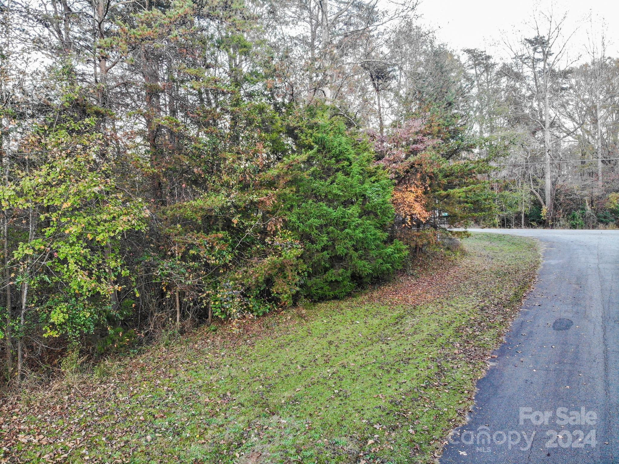 Rapids Run side - 000 NC Hwy 73 Highway, Iron Station