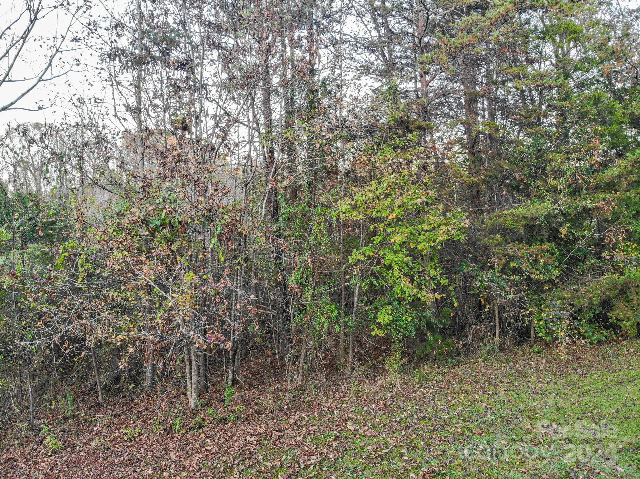 Rapids Run side - 000 NC Hwy 73 Highway, Iron Station