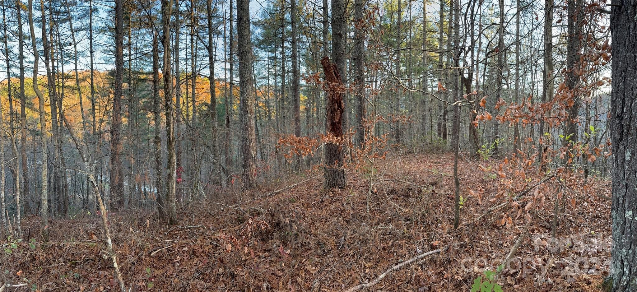 Lot at 00 Sky Ridge Drive, Bryson City, photo 3 of 14