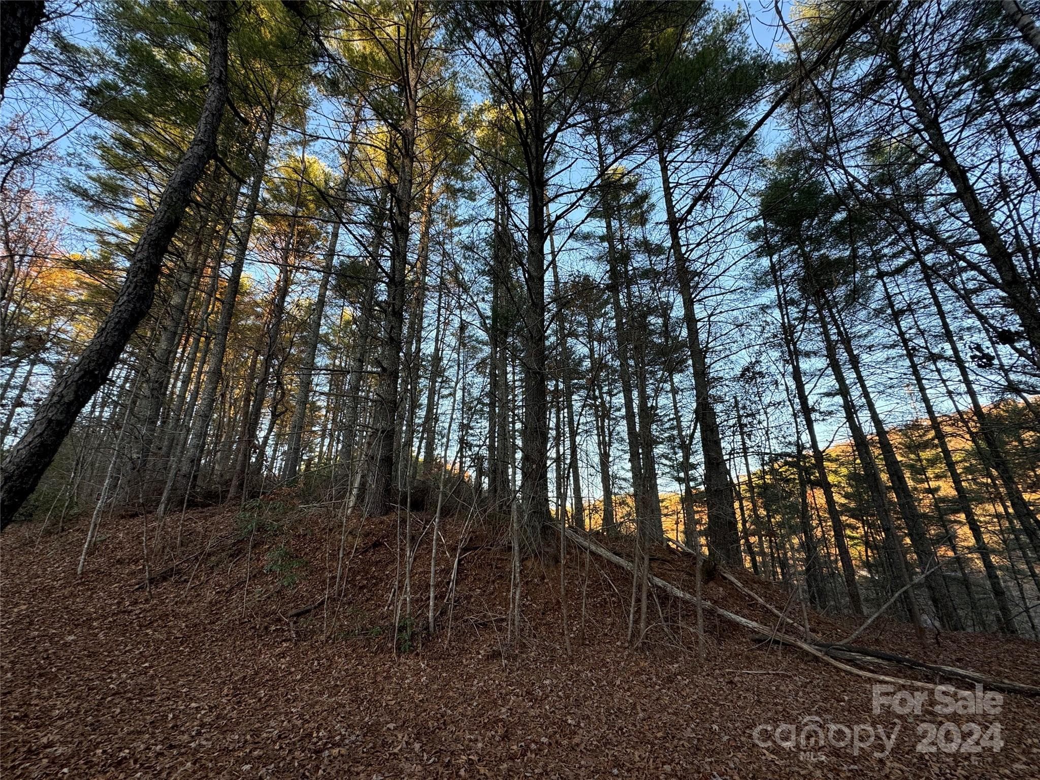 Lot at 00 Sky Ridge Drive, Bryson City, photo 4 of 14
