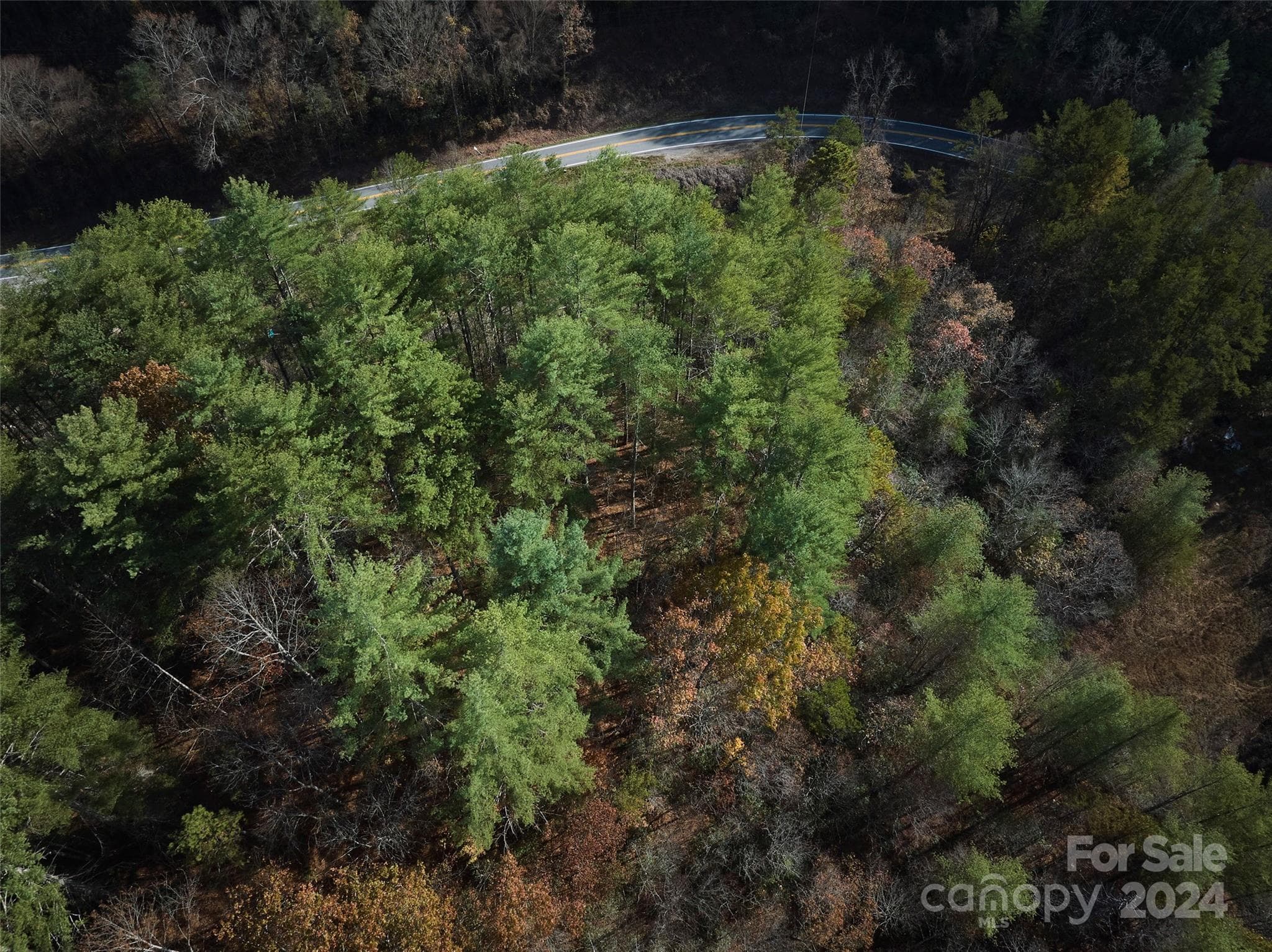Lot at 00 Sky Ridge Drive, Bryson City, photo 11 of 14