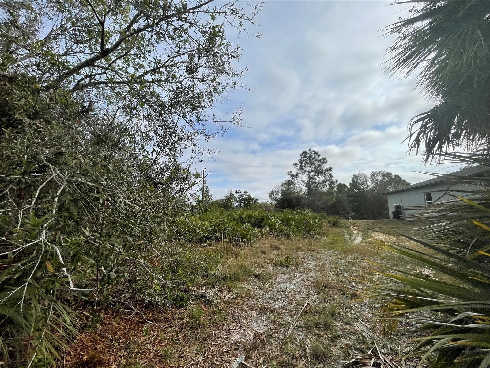 Land at 150 CHICKERING ST, PORT CHARLOTTE, photo 3 of 5