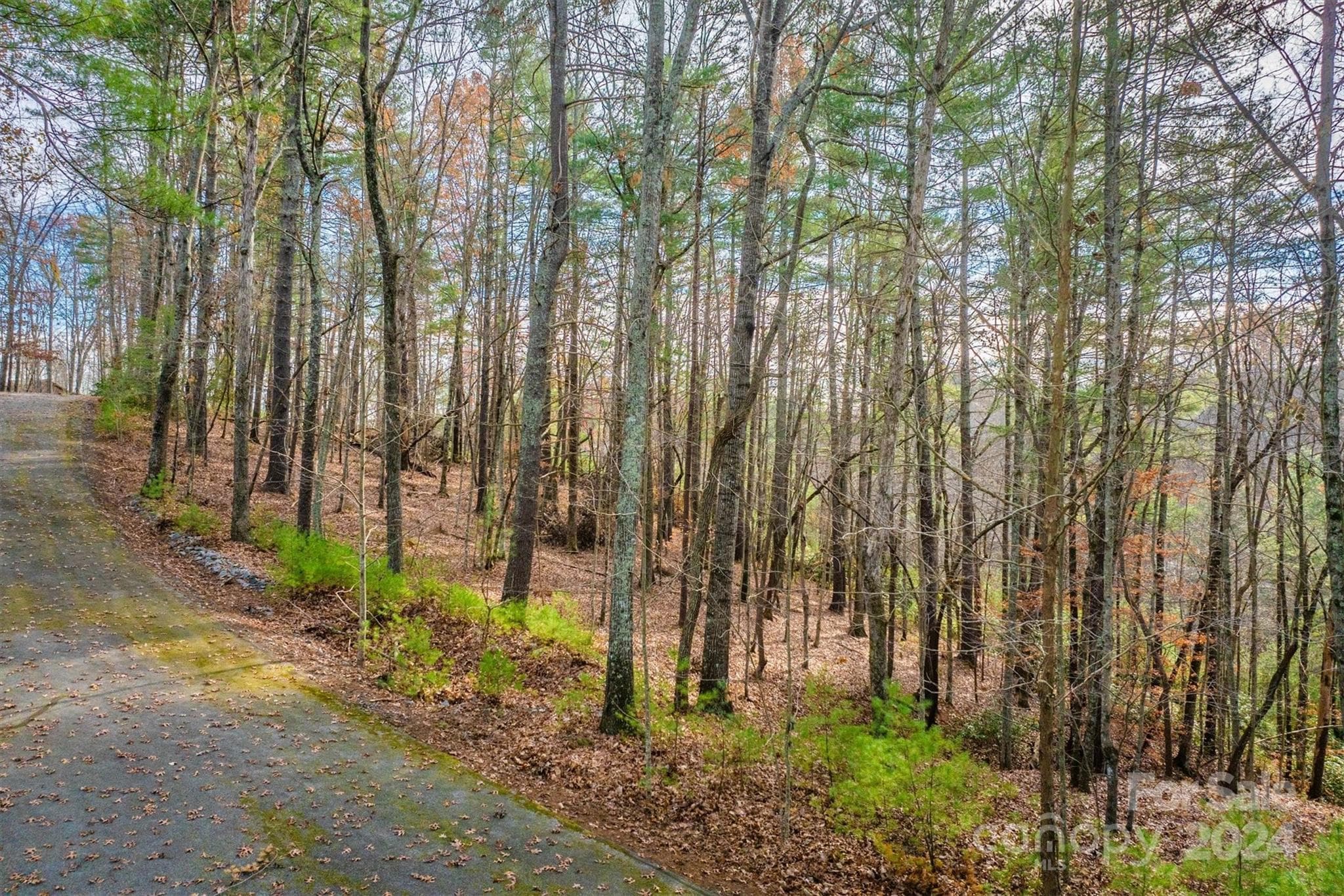 Lot at 133 James Bob Stafford Drive, Nebo, photo 2 of 12