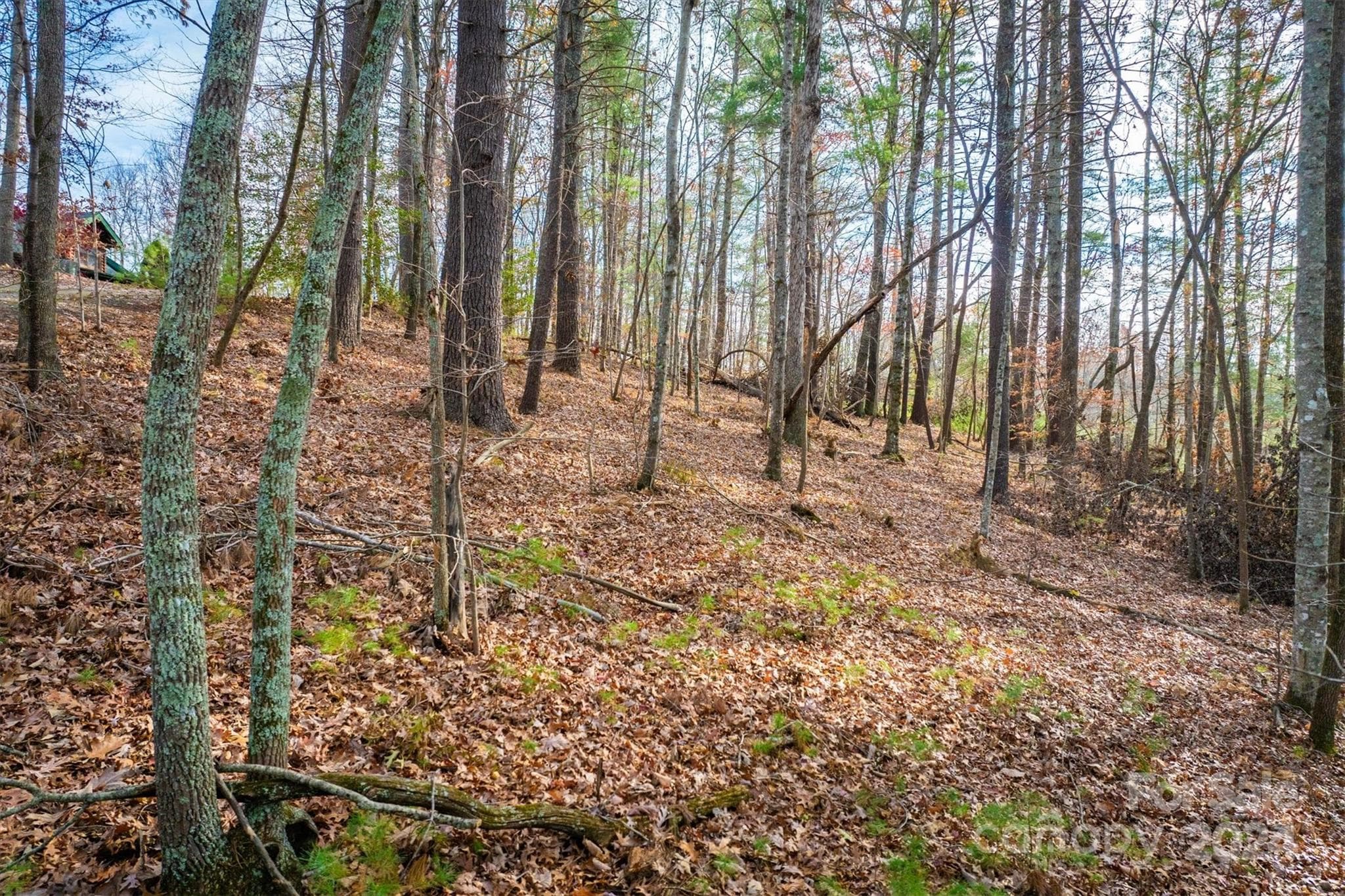 Lot at 133 James Bob Stafford Drive, Nebo, photo 5 of 12