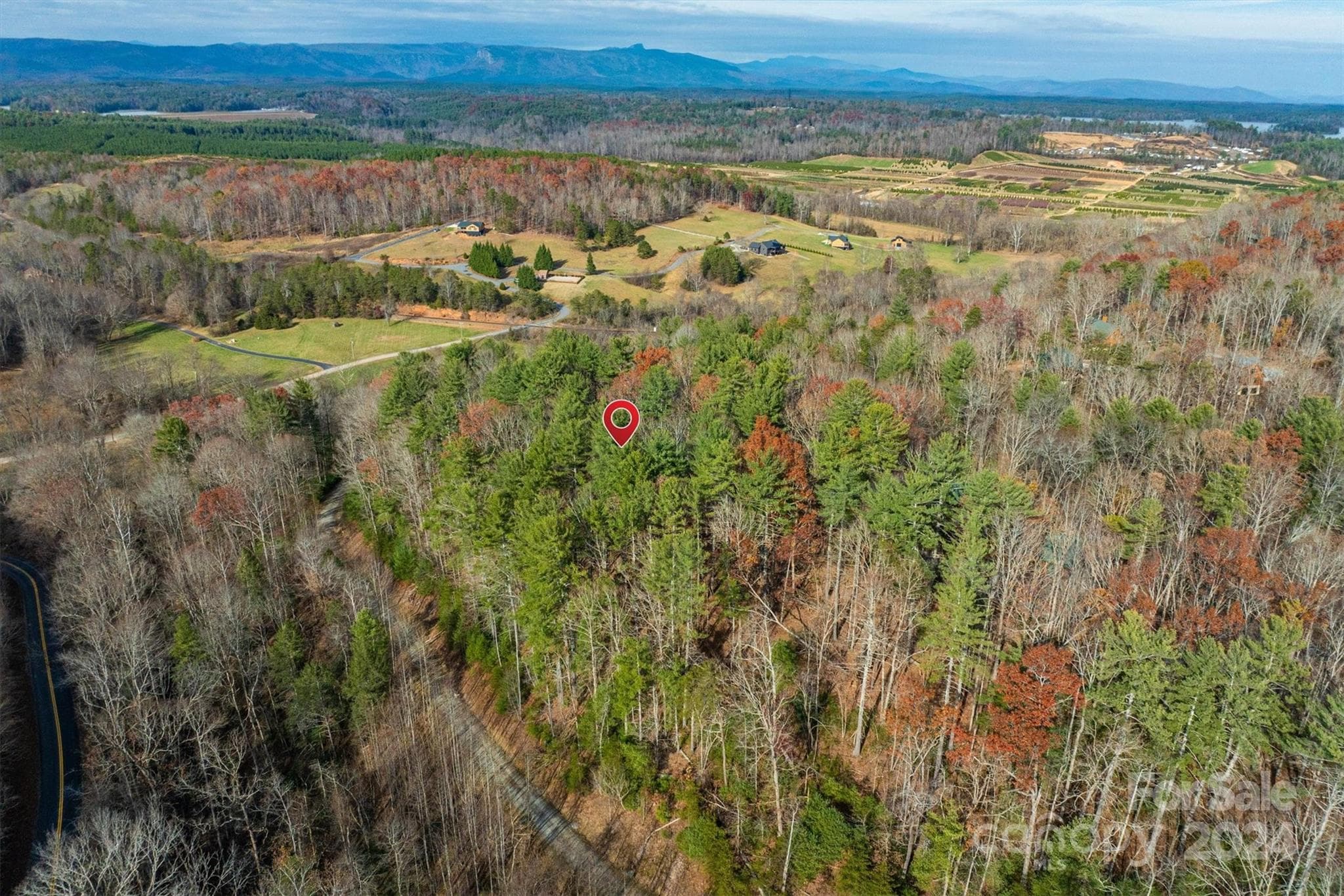 Lot at 133 James Bob Stafford Drive, Nebo, photo 9 of 12