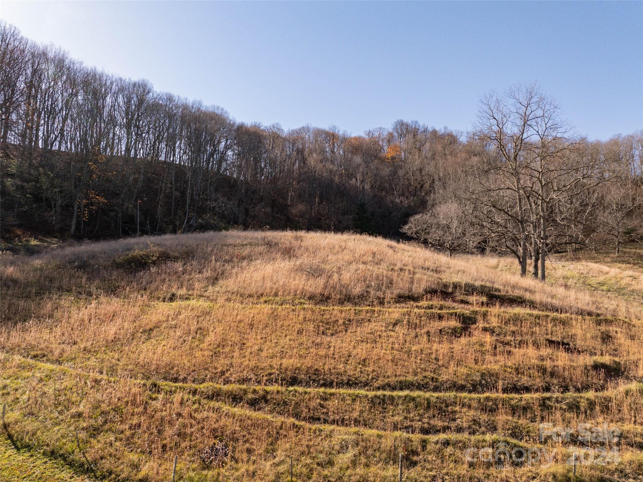 Acreage at Clyde, photo 3 of 20