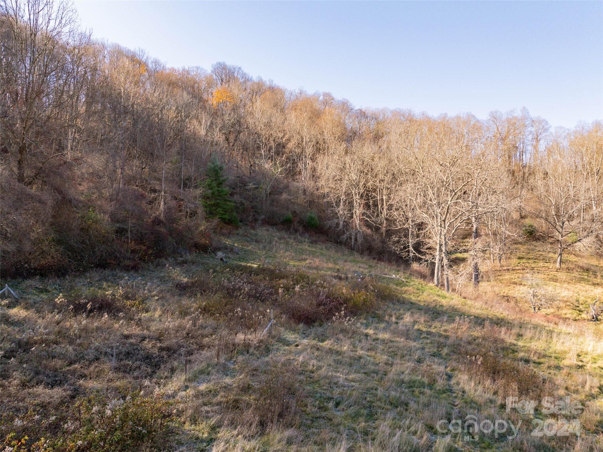 Acreage at Clyde, photo 4 of 20