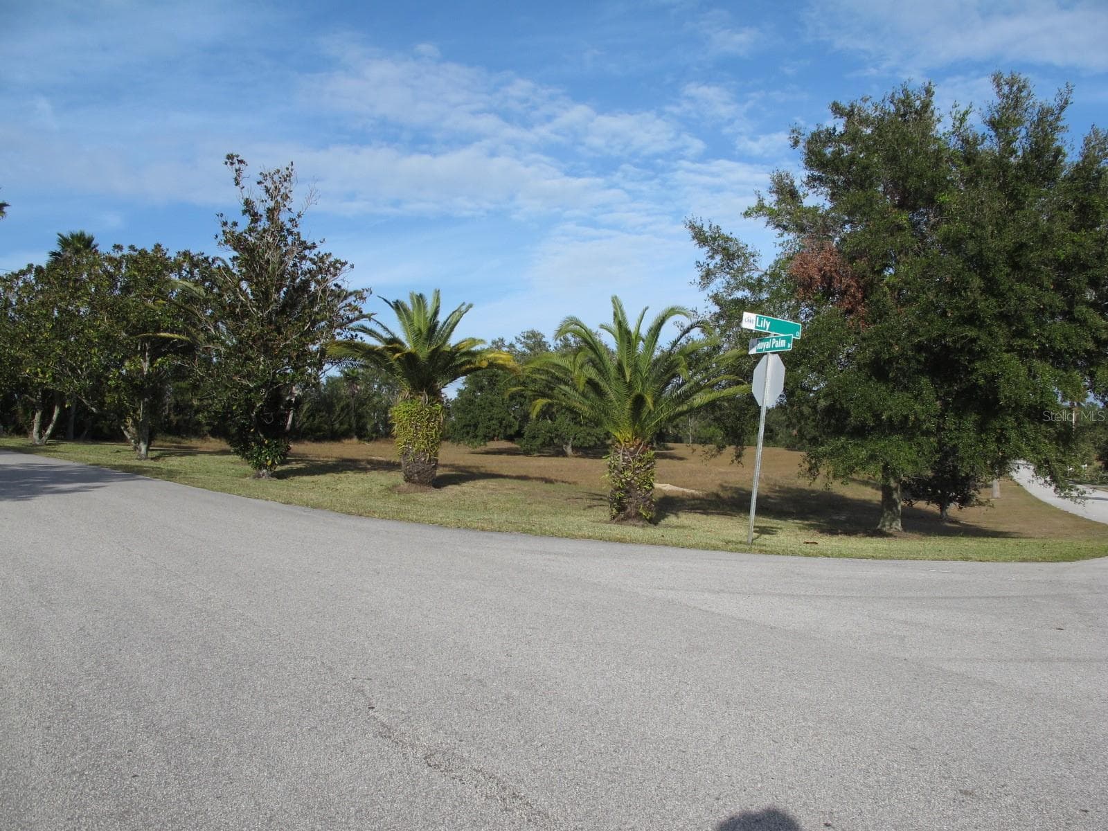 Land at 17200 ROYAL PALM DR, GROVELAND, photo 3 of 5