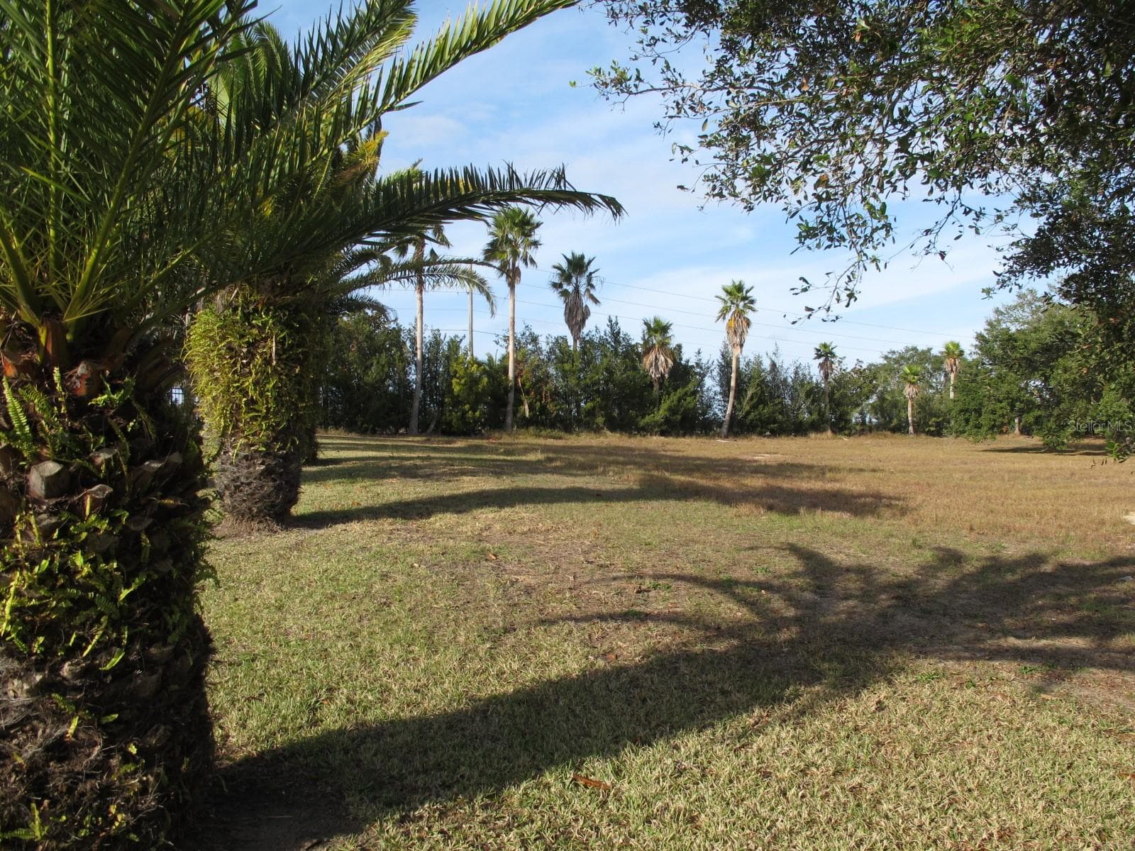 Land at 17200 ROYAL PALM DR, GROVELAND, photo 4 of 5