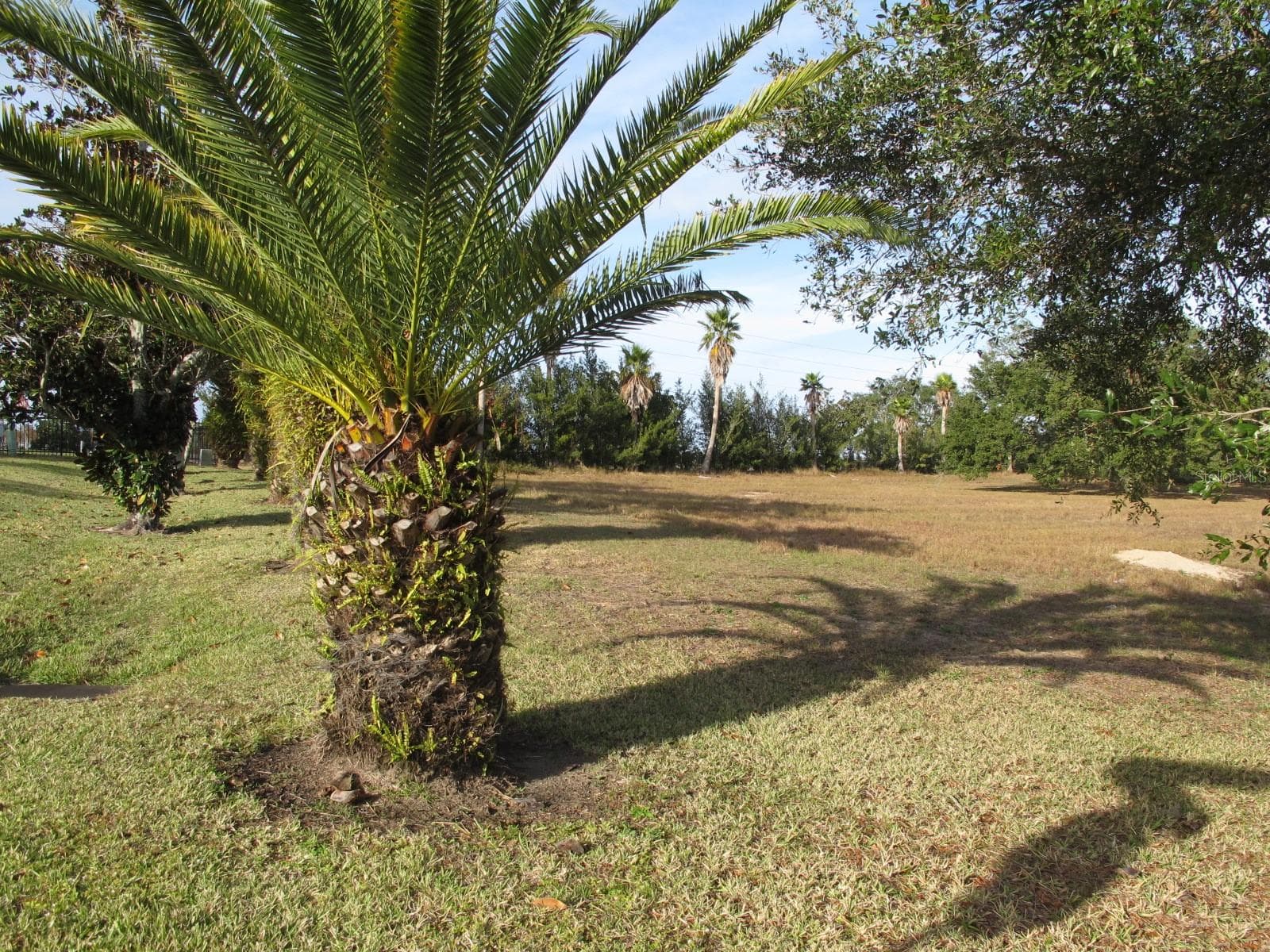 Land at 17200 ROYAL PALM DR, GROVELAND, photo 5 of 5