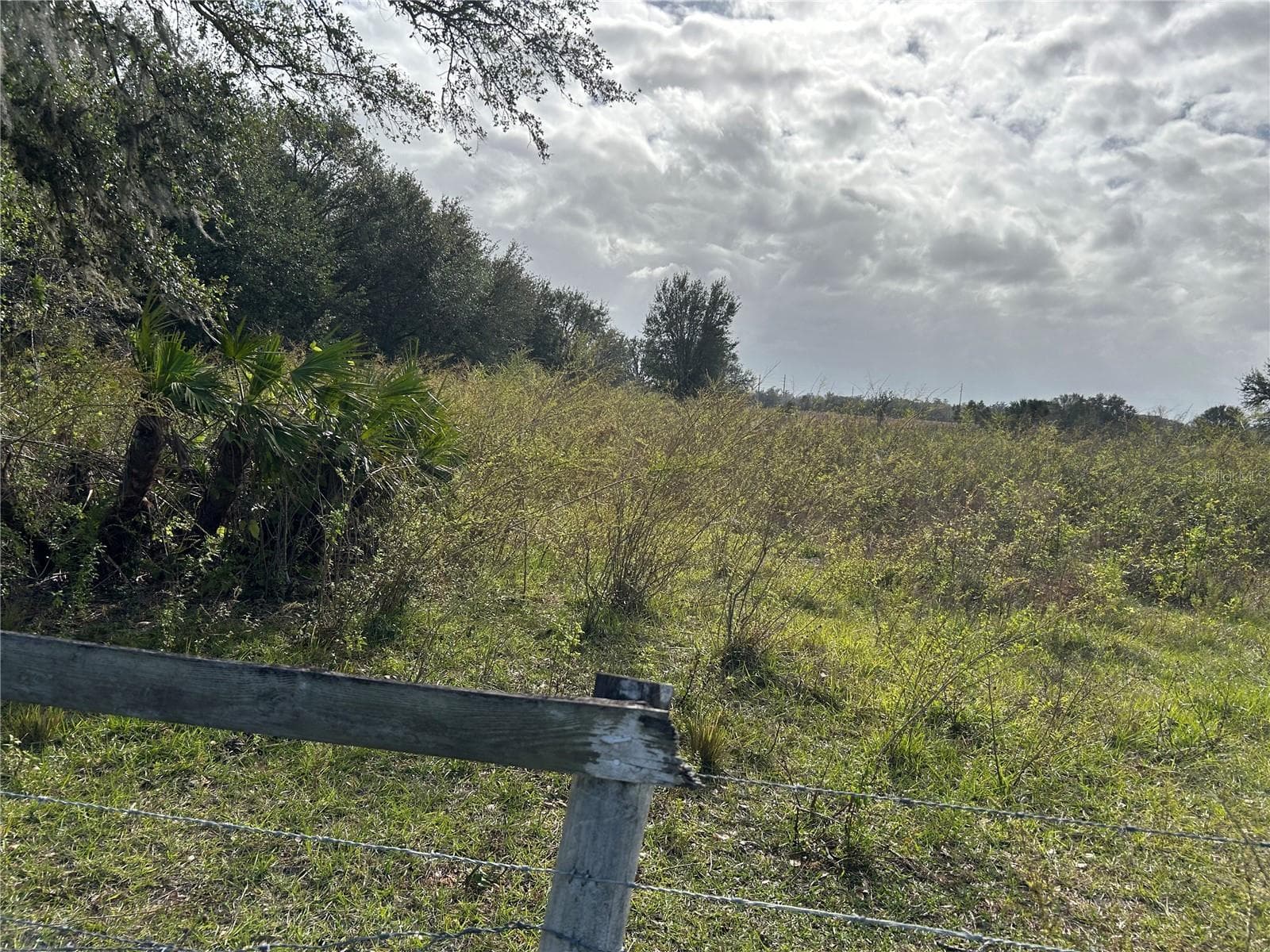 Land at SR-64, ZOLFO SPRINGS, photo 4 of 14