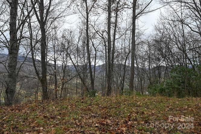 Acreage at Clyde, photo 12 of 18