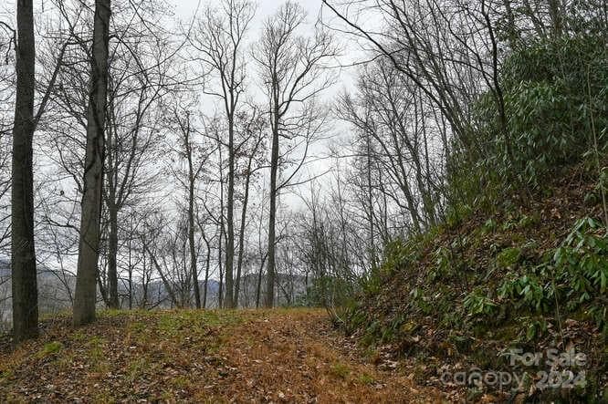 Acreage at Clyde, photo 13 of 18
