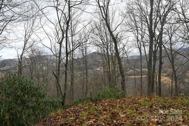 Acreage at Clyde, photo 3 of 18