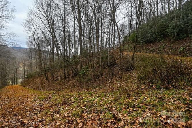 Acreage at Clyde, photo 8 of 18