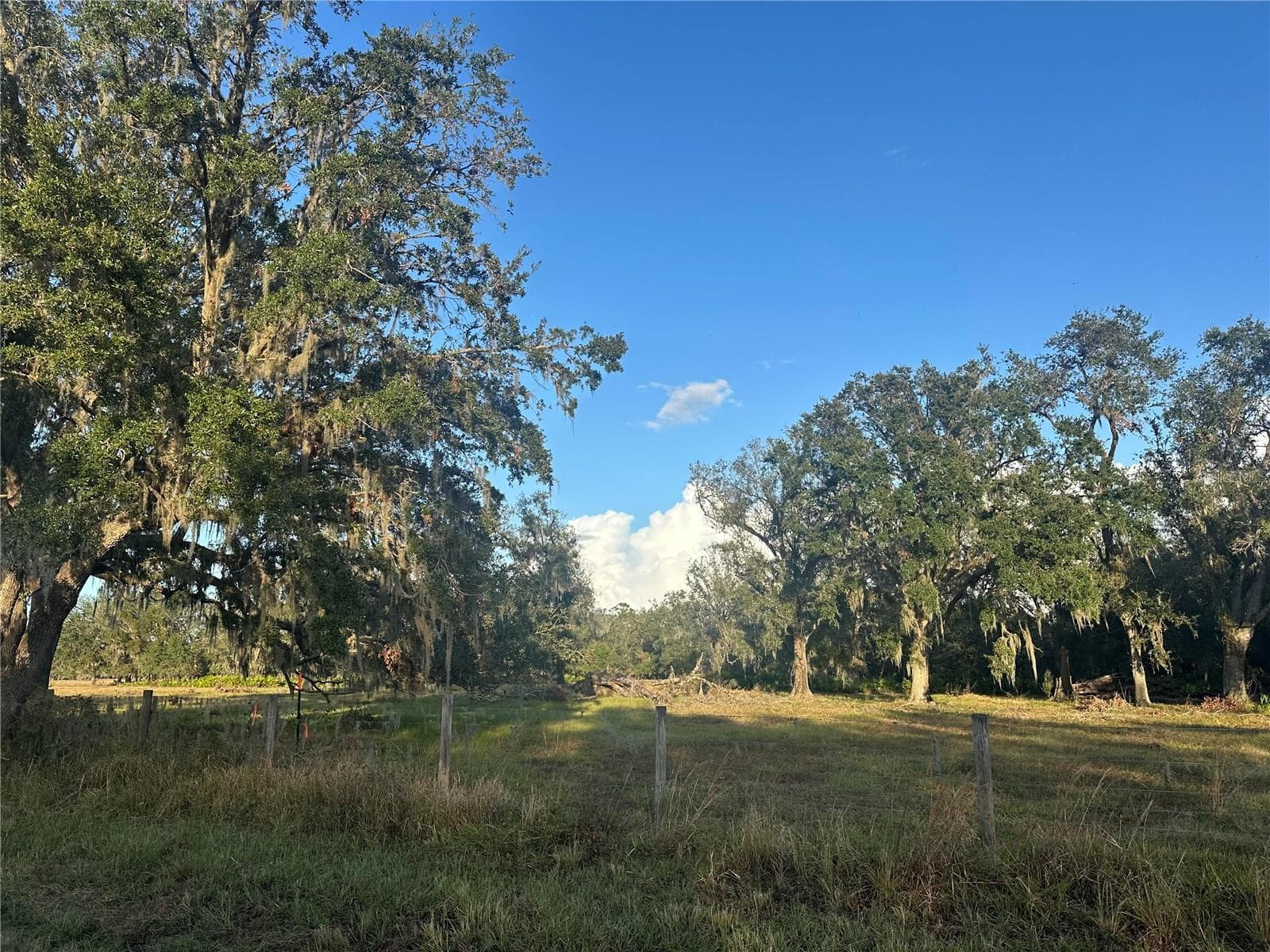 Land at 0 POLK RD, WAUCHULA, photo 23 of 25