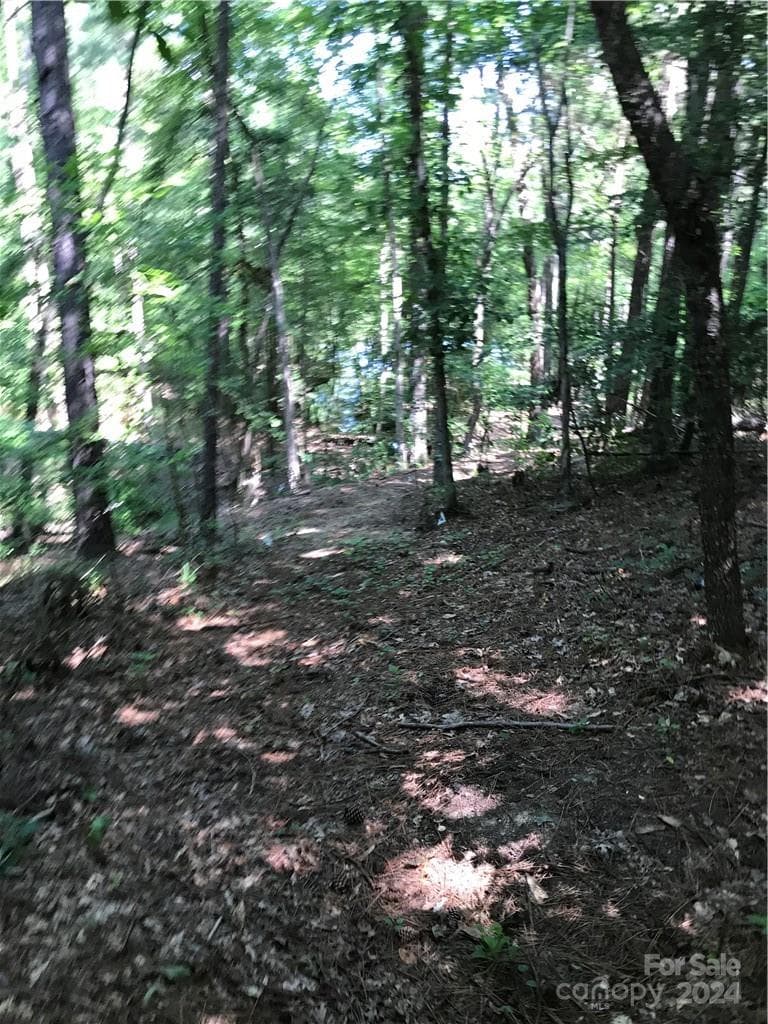 Lot at 2793 Catawba Road, Great Falls, photo 9 of 14