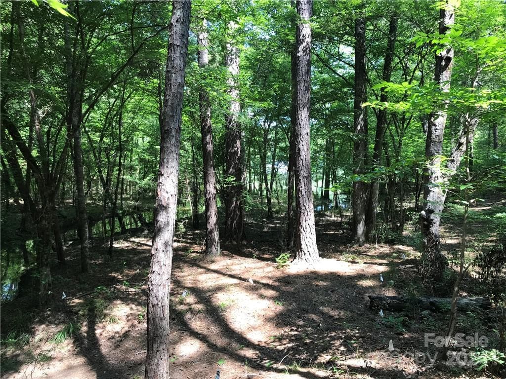 Lot at 2793 Catawba Road, Great Falls, photo 10 of 14
