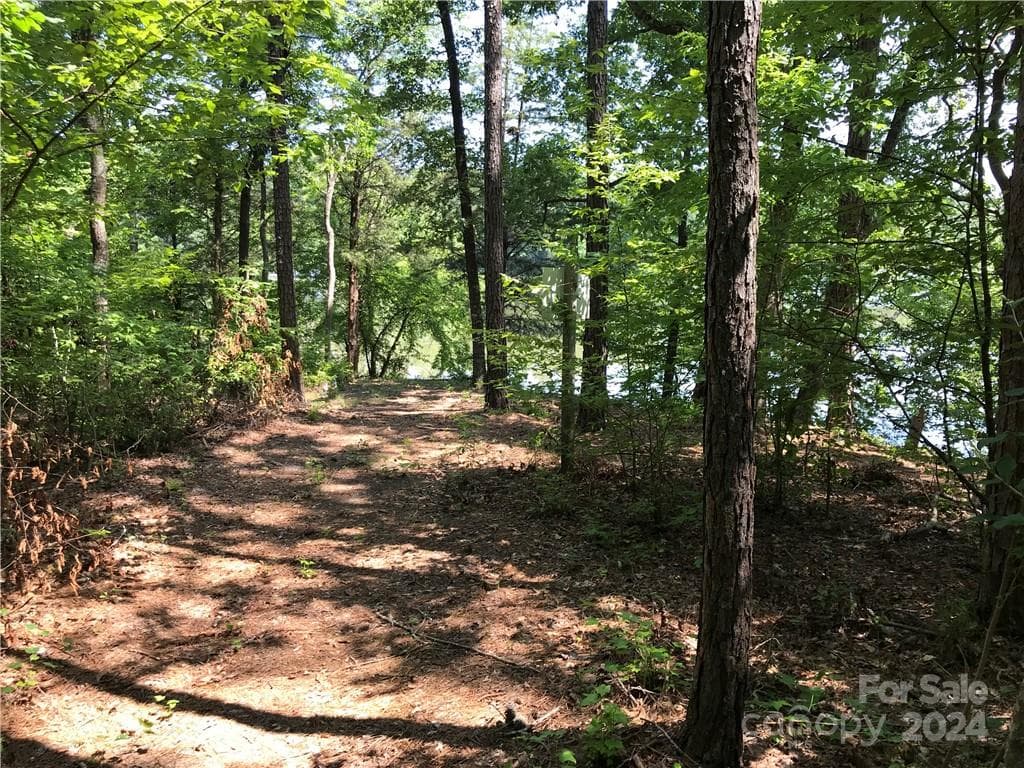 Lot at 2793 Catawba Road, Great Falls, photo 11 of 14