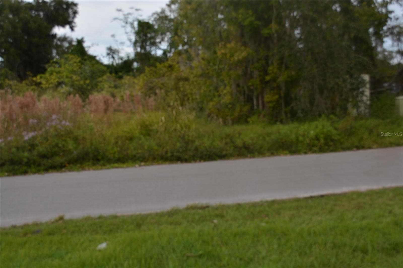 84 X 154 Level Lot no wet lands - 0 CHULUOTA ROAD, OVIEDO