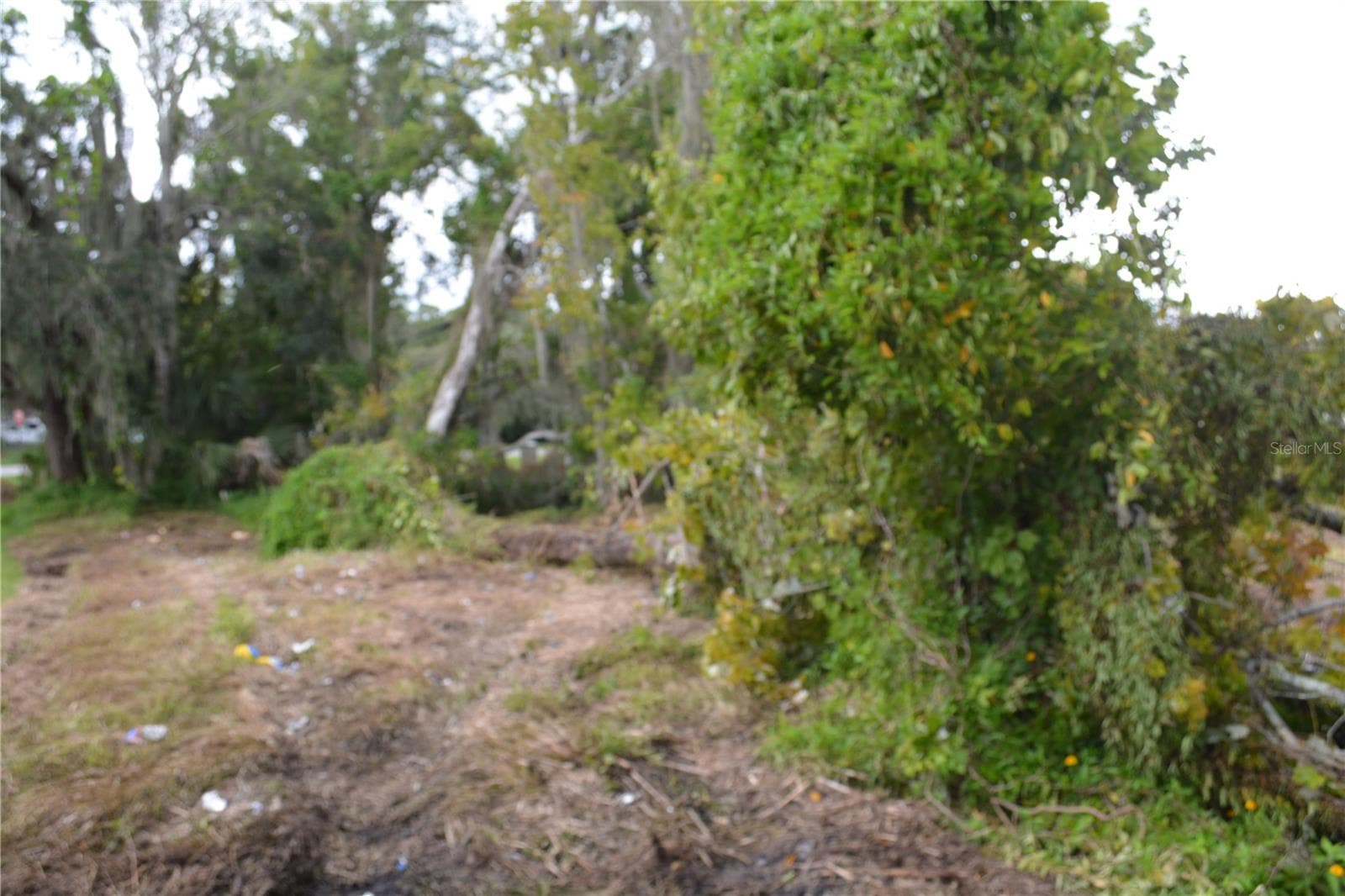 These lots are long lots 154, deep - 0 CHULUOTA ROAD, OVIEDO