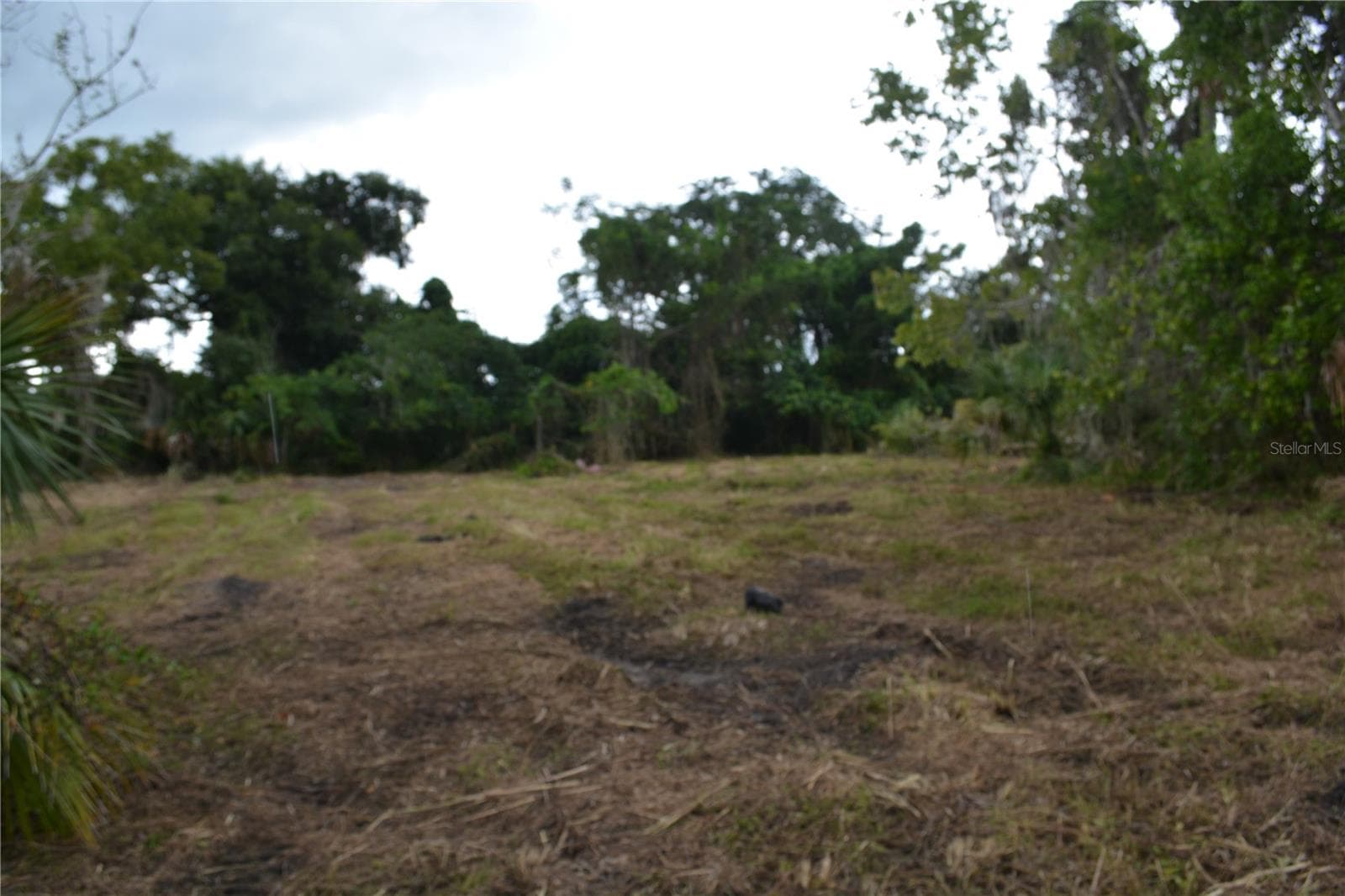 Builders lot are hard to come by in Oviedo - 0 CHULUOTA ROAD, OVIEDO