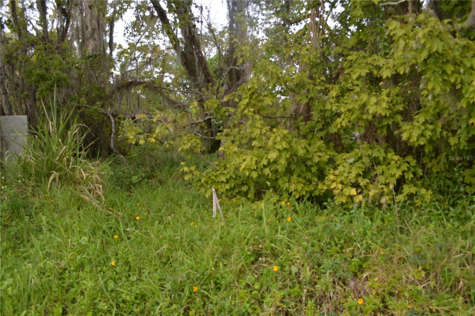 Three lots sold together - 0 CHULUOTA ROAD, OVIEDO
