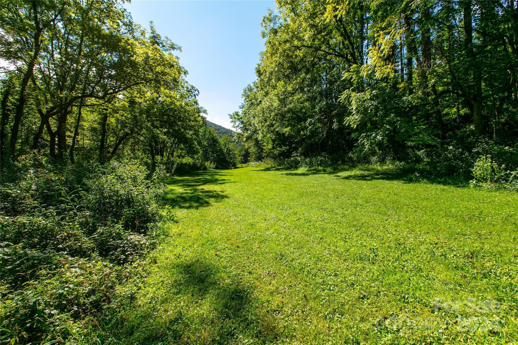 Lot at Canton, photo 3 of 8