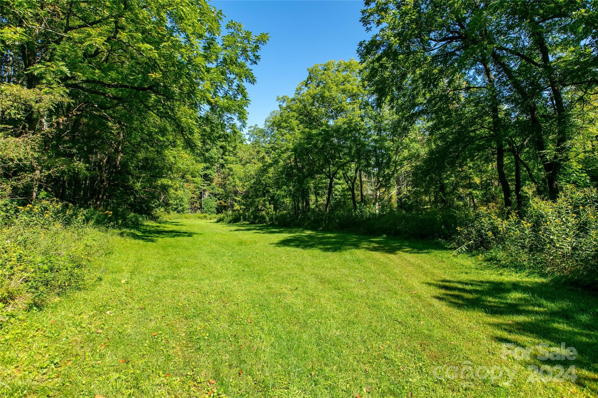Lot at Canton, photo 4 of 8