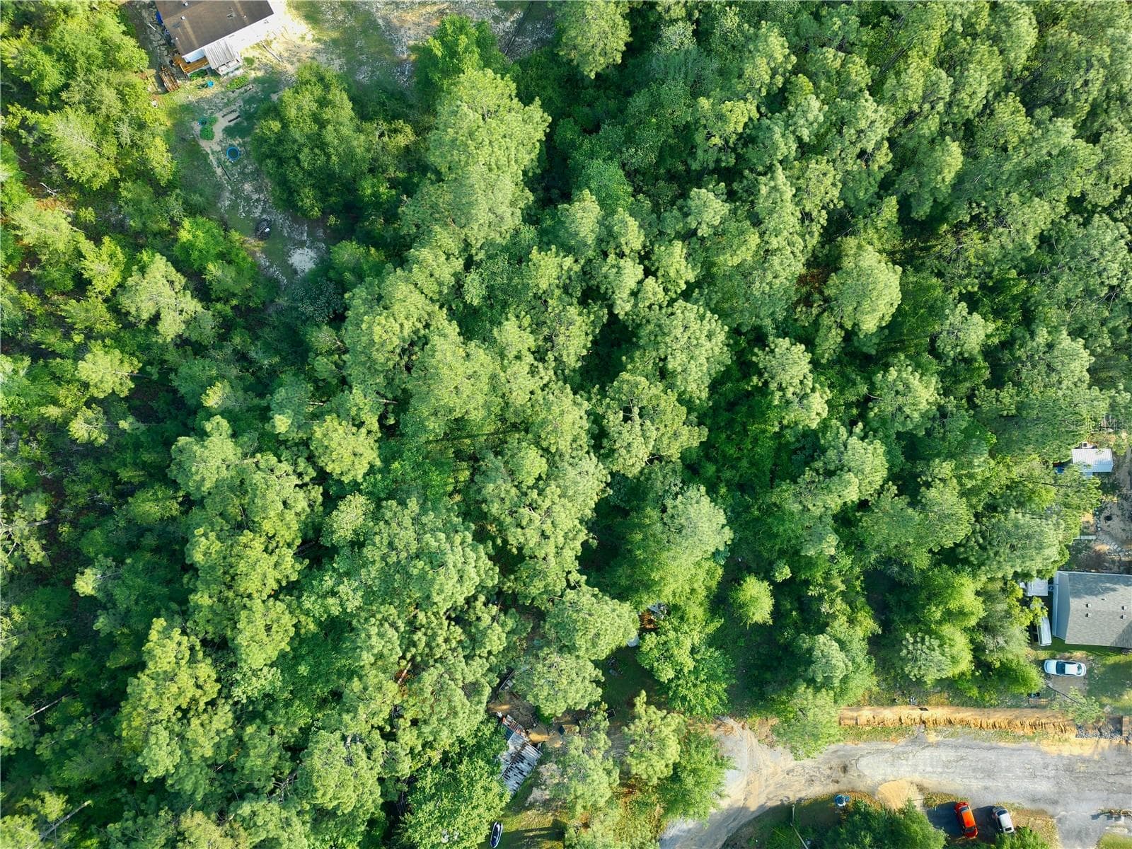 Land at PINETREE LN, DEFUNIAK SPRINGS, photo 7 of 40