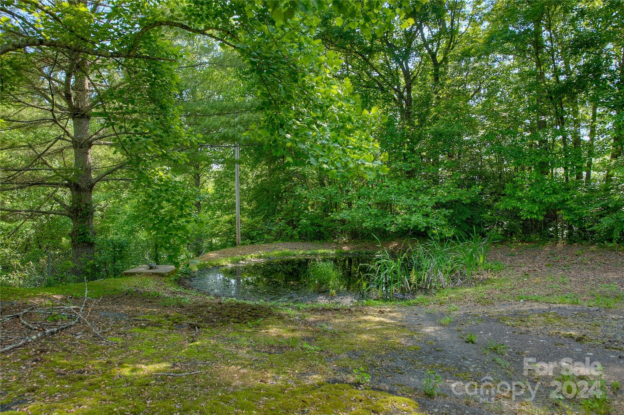 Sedimentation Pond w/Oil Separator - 350 Henredon Road, Spruce Pine