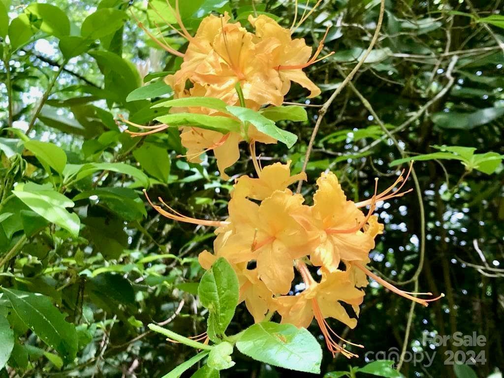 Industrial at 350 Henredon Road, Spruce Pine, photo 40 of 44