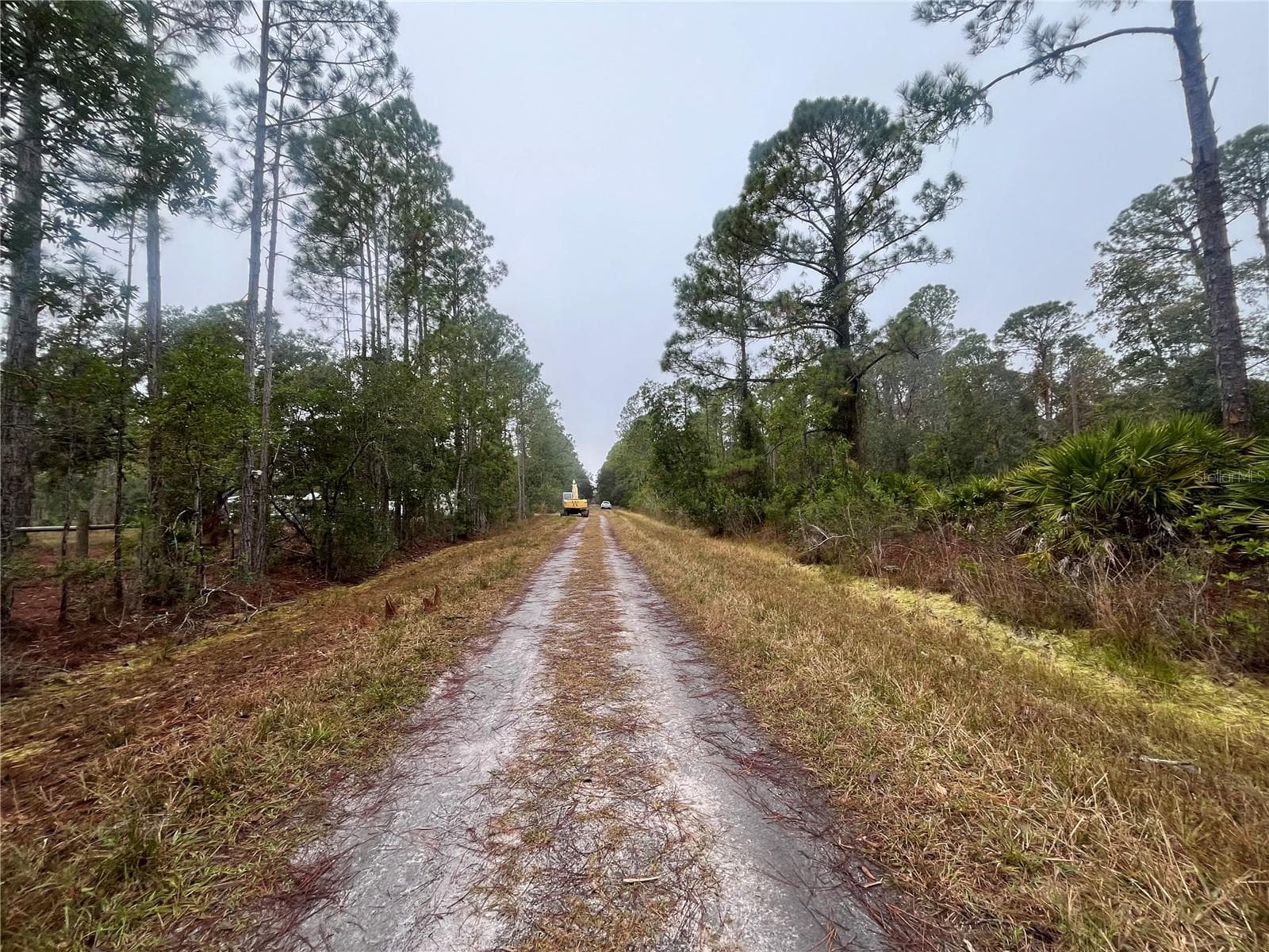 Land at 222 MARIE AVE, GEORGETOWN, photo 6 of 13