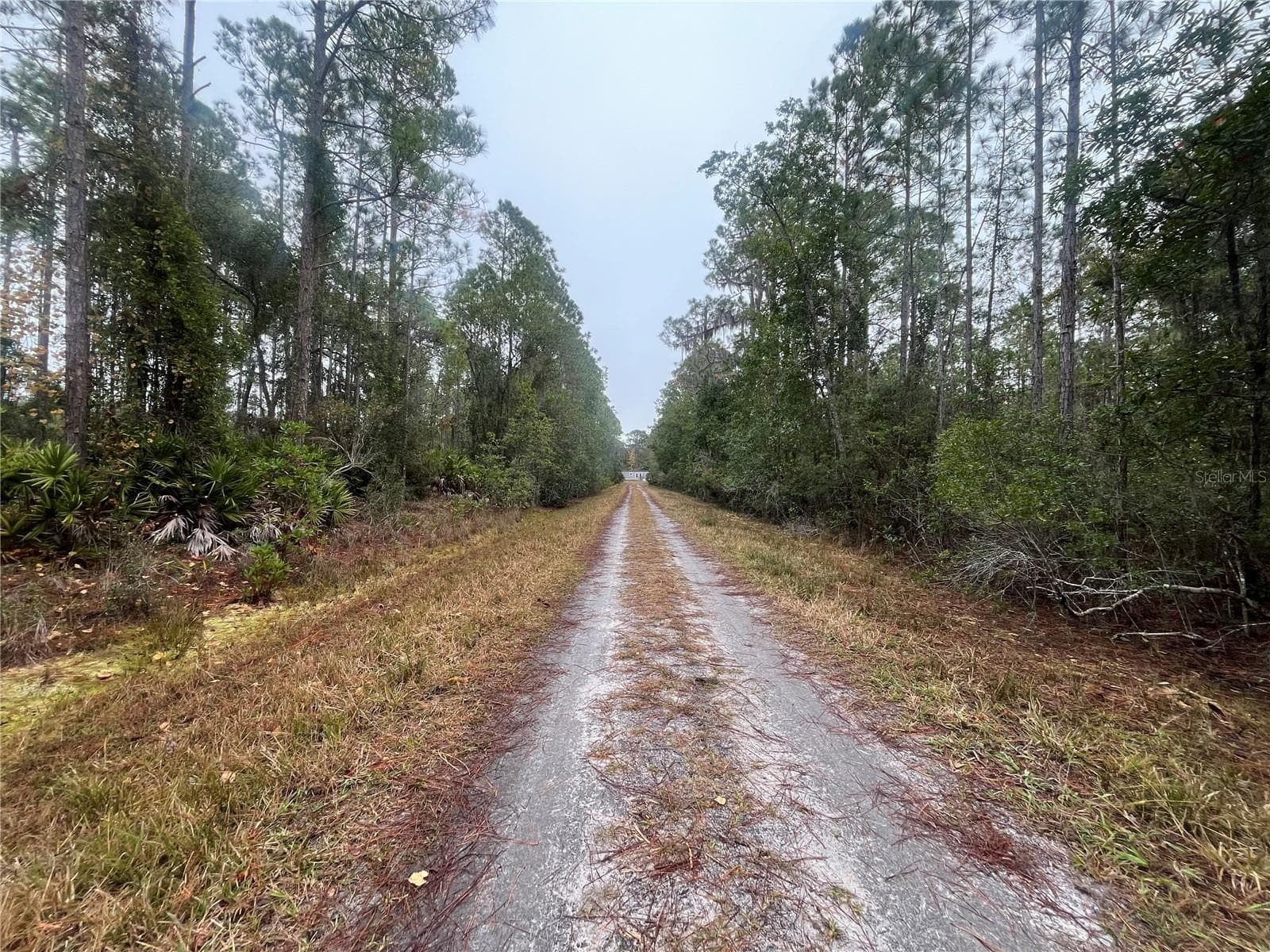 Land at 222 MARIE AVE, GEORGETOWN, photo 7 of 13
