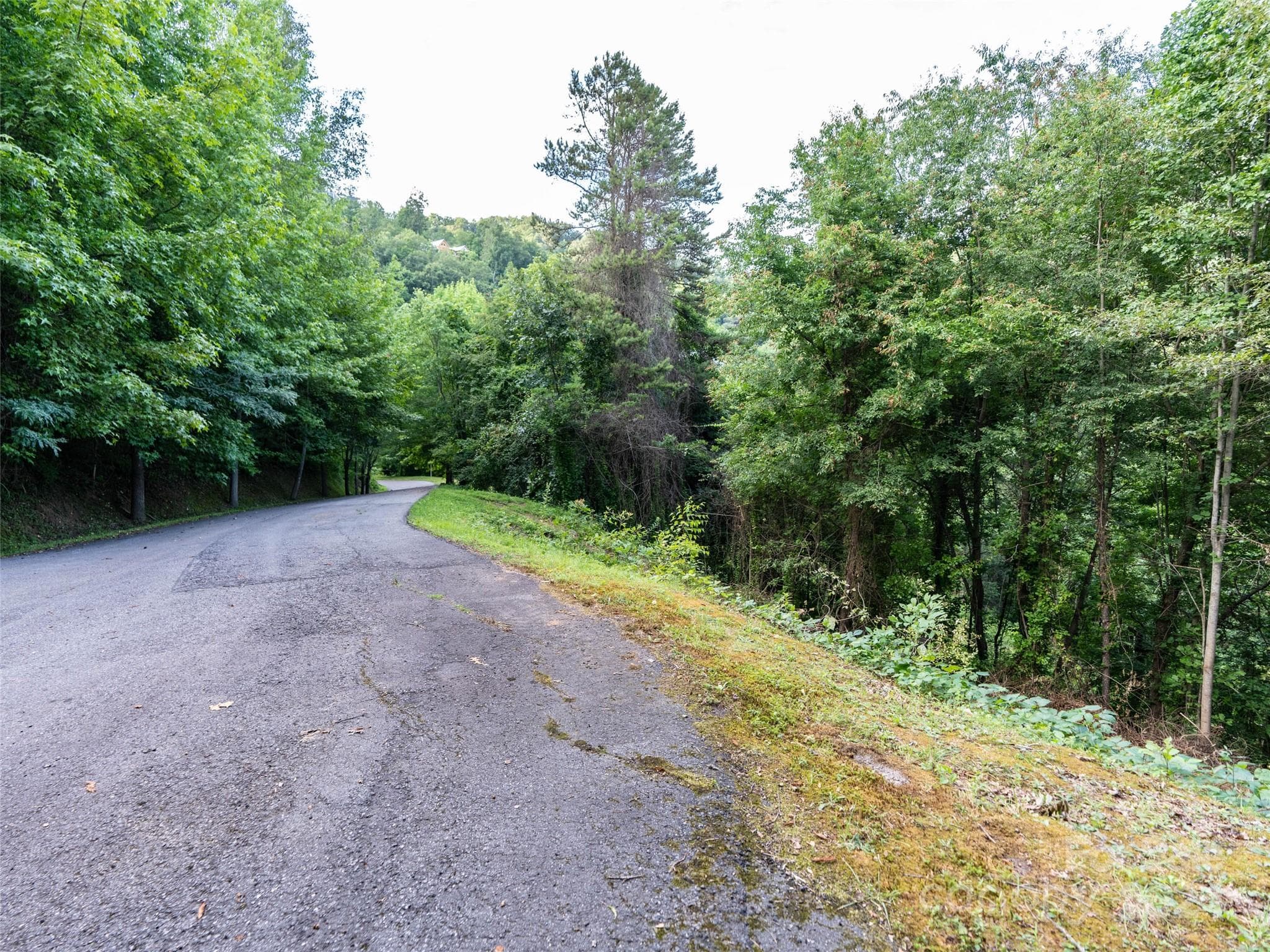 Lot at Waynesville, photo 5 of 24